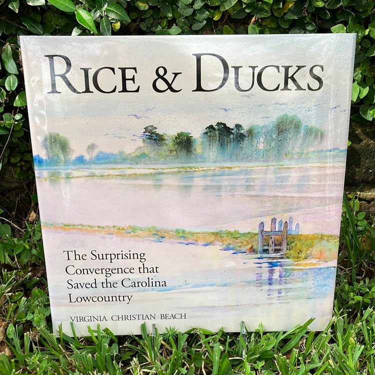 Rice & Duck